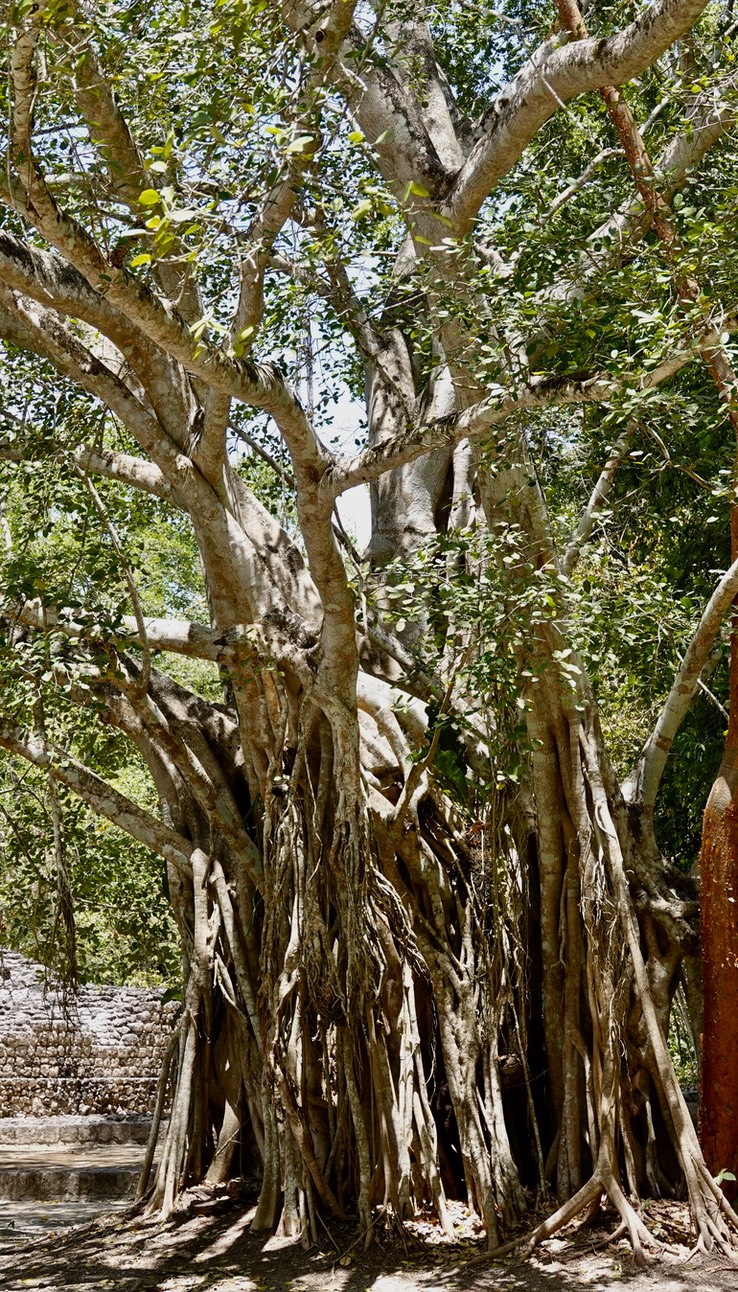 Becan, Campeche, Mexico (12)